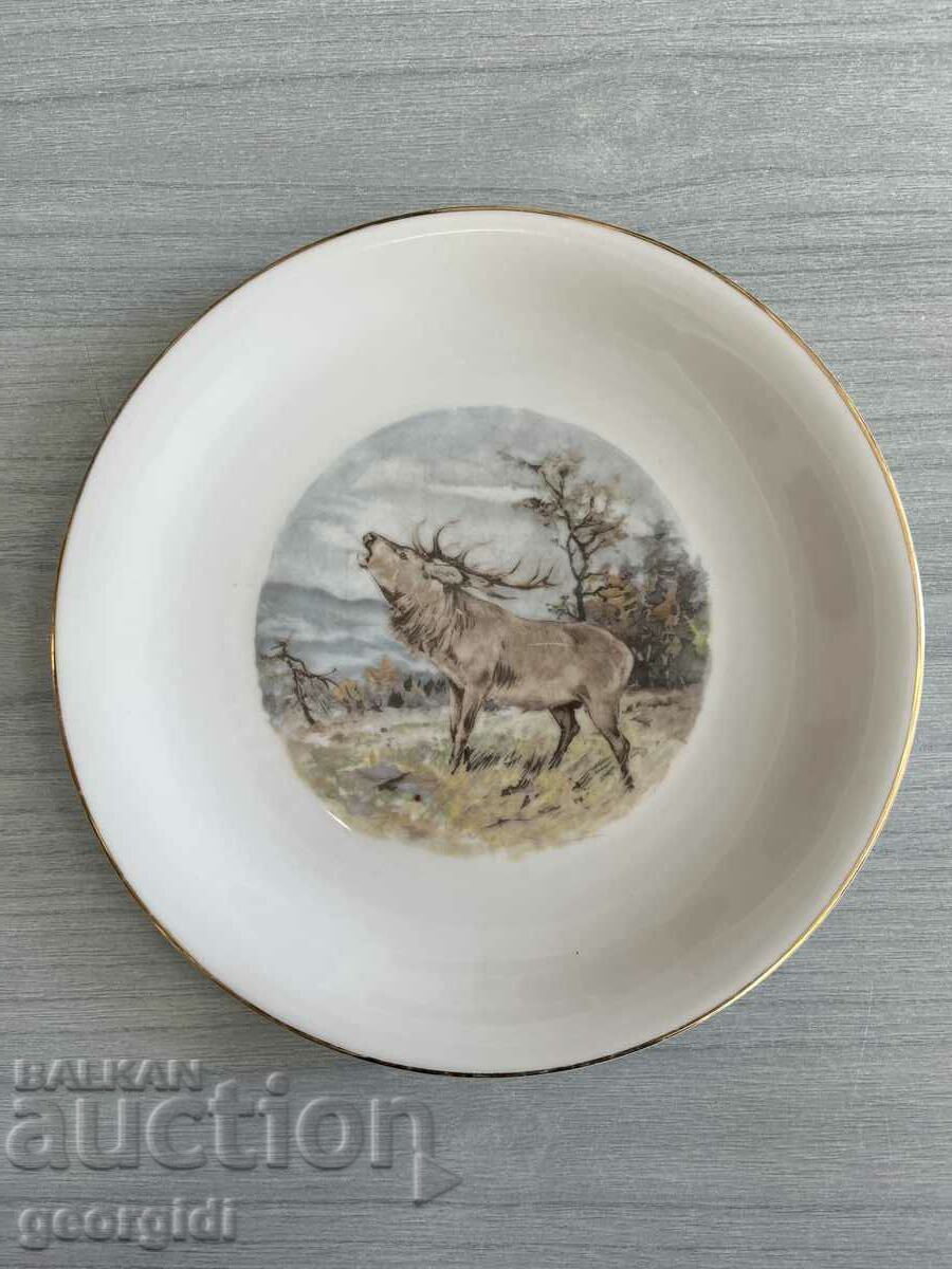 Bavarian porcelain plate with forest scene - Johann Seltmann.