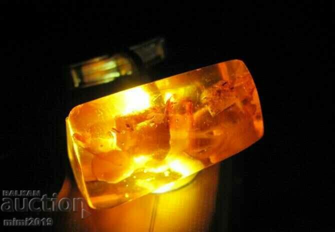 Аукцион Стари Кехлибарени Бутонели и Обеци Аукцион Стари Кехлибарени Бутонели и Обеци