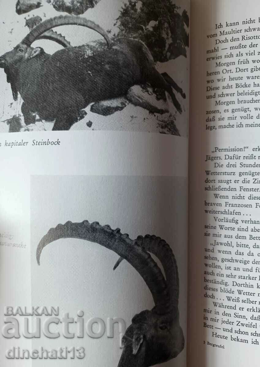 Auction  Bergteufel und Wüstenböcke