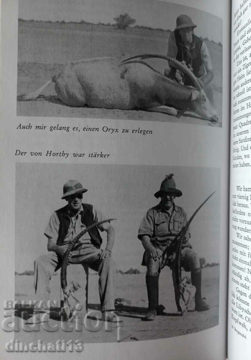 Bergteufel und Wüstenböcke - 6