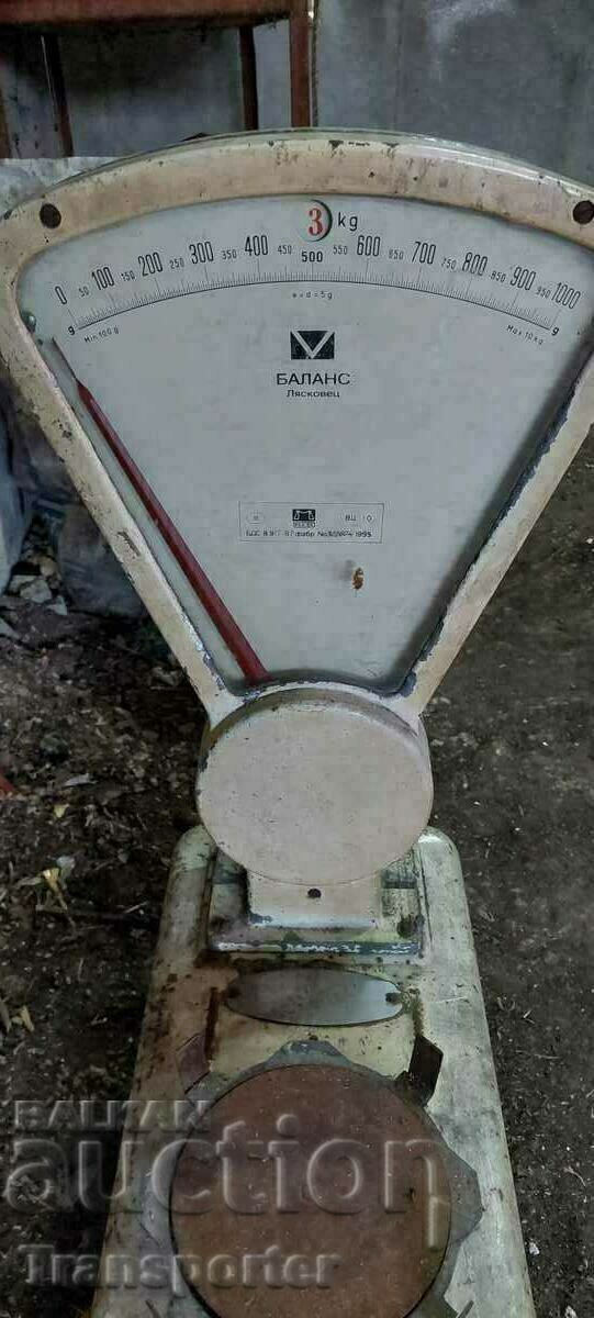 Scales, scales from 1995. - 5 Scales, scales from 1995. - 5