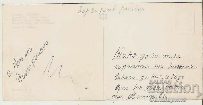 Card Bulgaria Sunny Beach Hotel "Globus" 10** with price 0.60 BGN | € 0.31 Card Bulgaria Sunny Beach Hotel "Globus" 10** with price 0.60 BGN | € 0.31