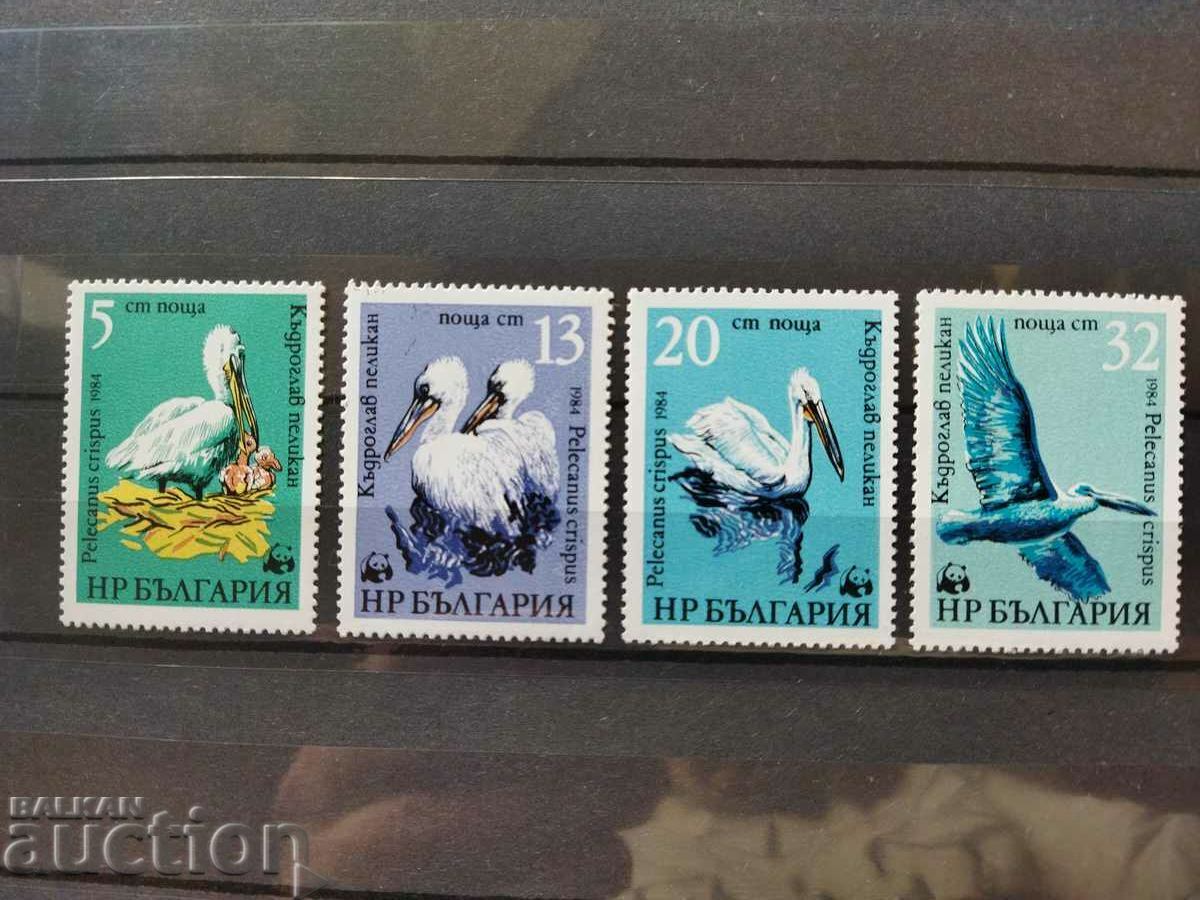 -50% Bulgaria "Pelicans" from 1984. №3345 / 3348 fauna with price 3.00 BGN | € 1.53 -50% Bulgaria "Pelicans" from 1984. №3345 / 3348 fauna with price 3.00 BGN | € 1.53