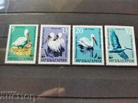 -50% Bulgaria "Pelicani" din 1984. №3345 / 3348 fauna