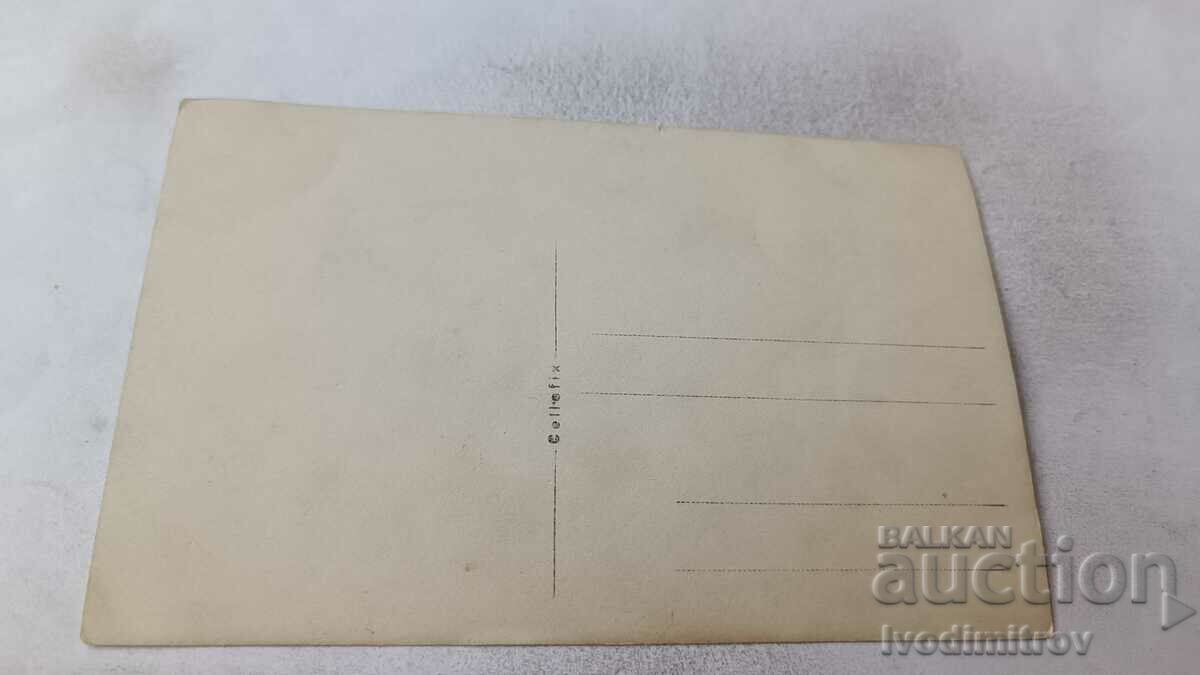 Photo Young men and women by the river with price 1.75 BGN | € 0.89 Photo Young men and women by the river with price 1.75 BGN | € 0.89