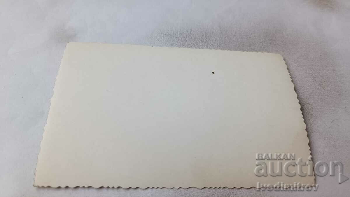 Снимка Младоженци с цена € 0.69 | 1.35 лв. Снимка Младоженци с цена € 0.69 | 1.35 лв.