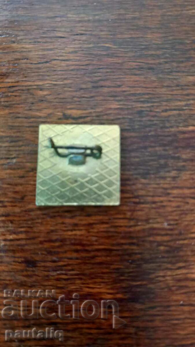 Auction PERNIK HISTORICAL MUSEUM BADGE Auction PERNIK HISTORICAL MUSEUM BADGE