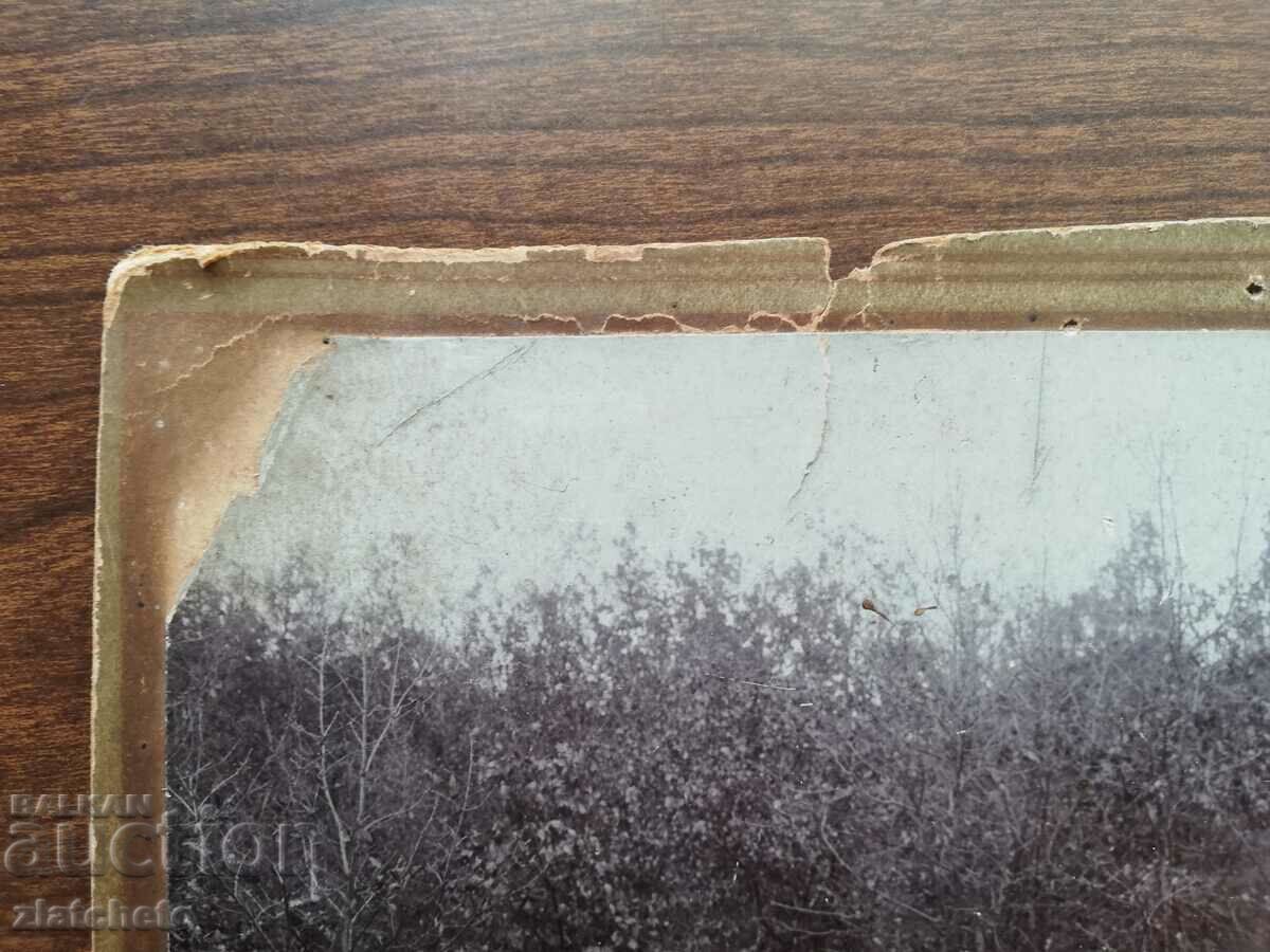 Old photo cardboard - BDZ employees! - 5 Old photo cardboard - BDZ employees! - 5