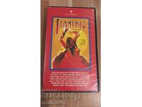Casetă video flamenco