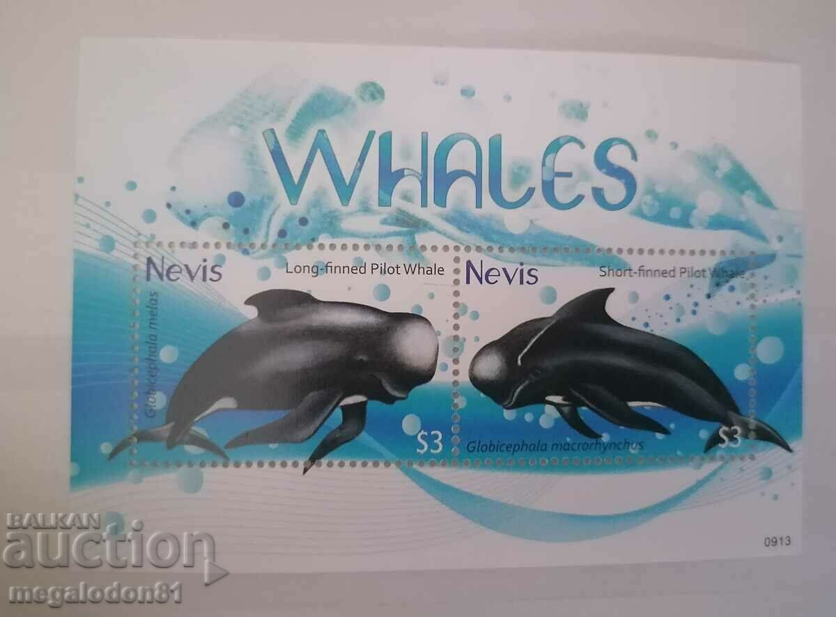 Nevis - whales
