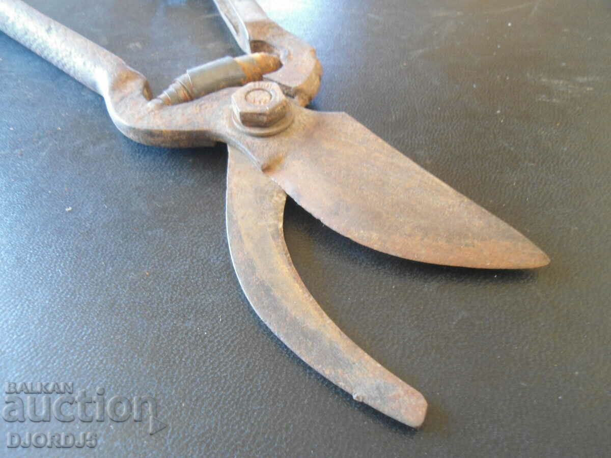 Auction  Old viticulture scissors