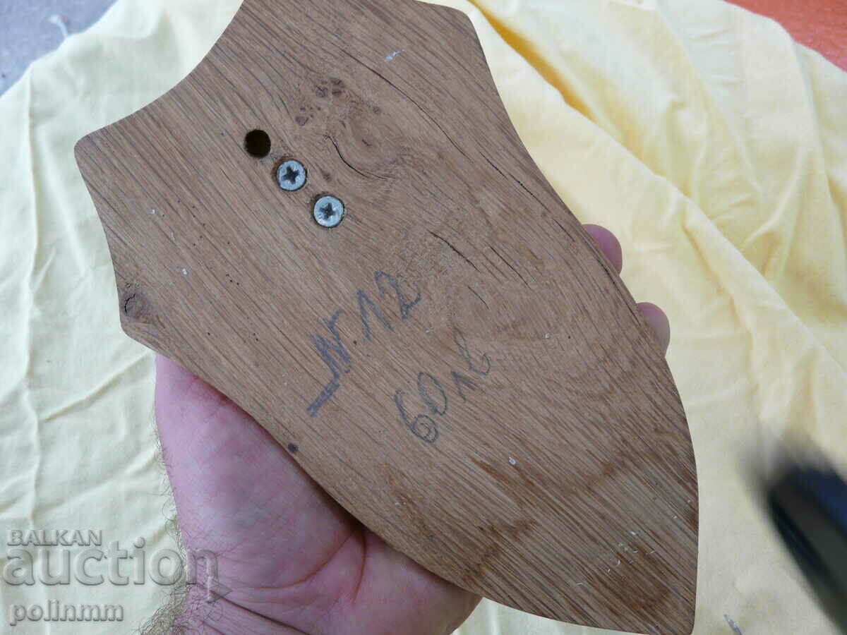 Auction  Old German Roe Deer Trophy - 12