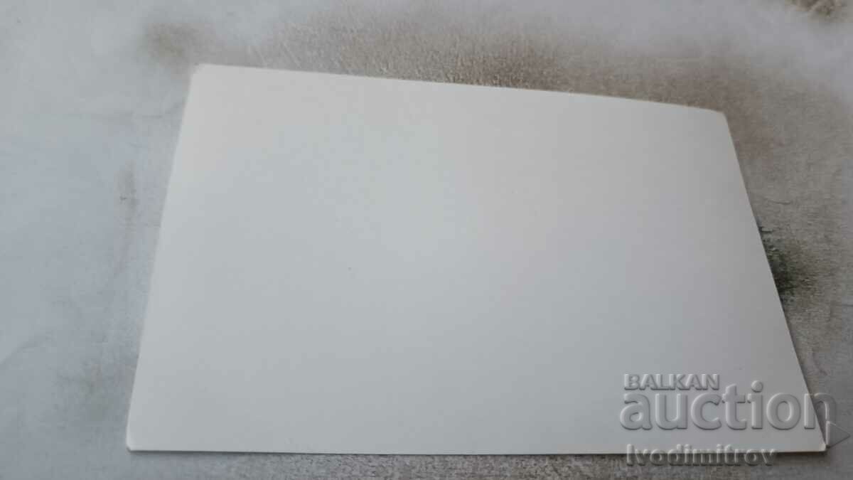 Foto Mireasă și doi copii pe stradă cu preț 0.85 BGN | € 0.43 Foto Mireasă și doi copii pe stradă cu preț 0.85 BGN | € 0.43