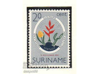 1959. Суринам. Ратифициране на статутa на кралството.