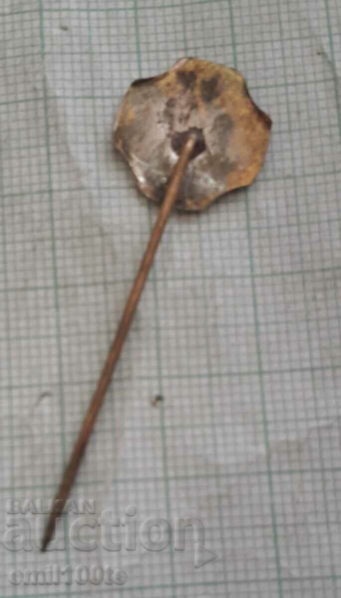 Delivery of Badge - Deer hunting trophy Delivery of Badge - Deer hunting trophy