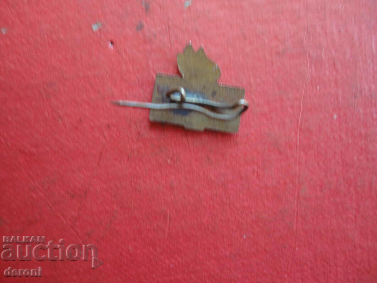 Παράδοση Σήμα BFS από μπρούτζινο σμάλτο Παράδοση Σήμα BFS από μπρούτζινο σμάλτο