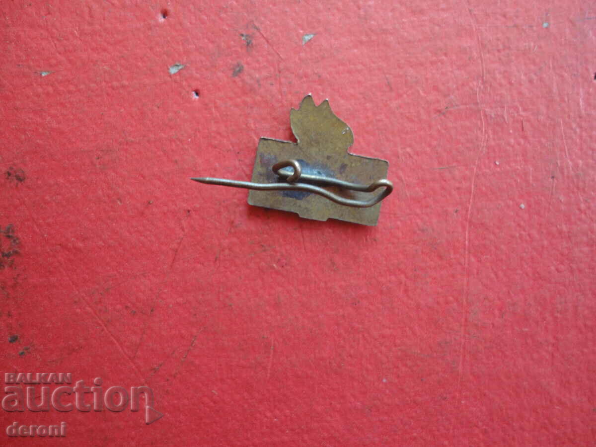 Σήμα BFS από μπρούτζινο σμάλτο - 5 Σήμα BFS από μπρούτζινο σμάλτο - 5