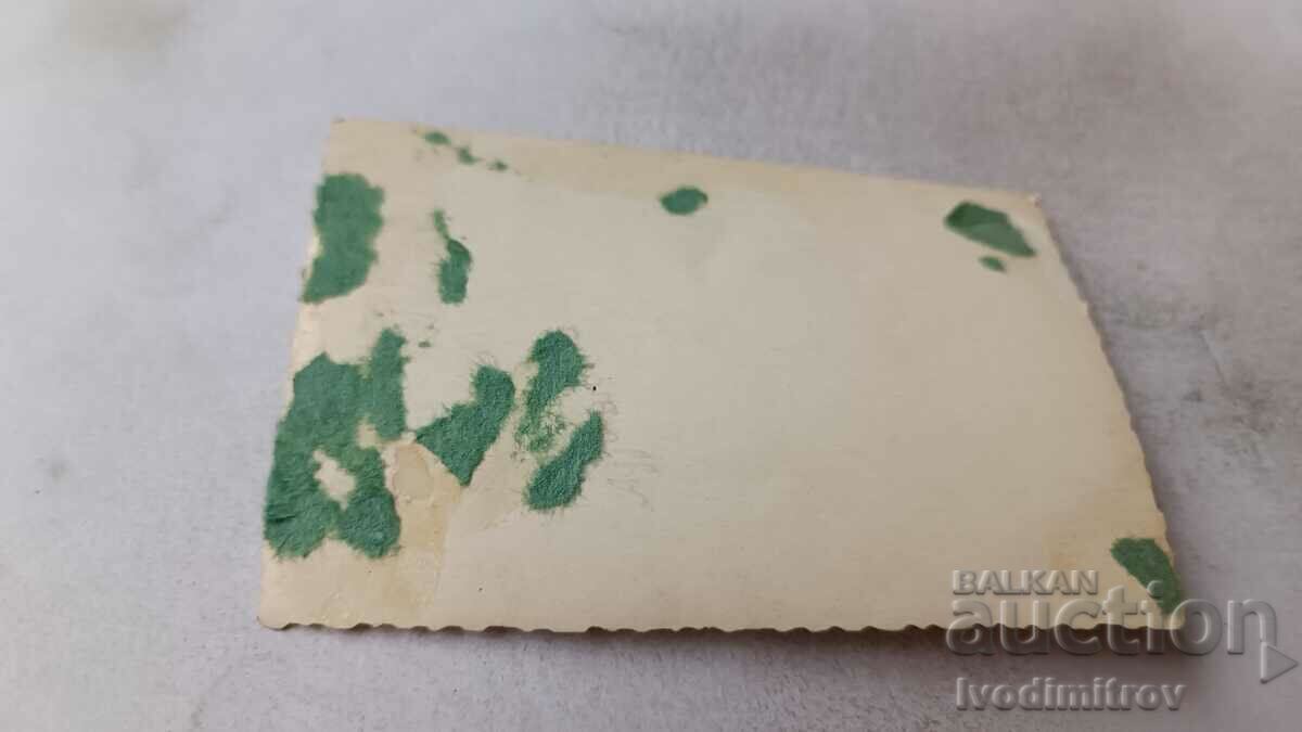 Photo Students and teachers with portraits on the street with price 1.65 BGN | € 0.84 Photo Students and teachers with portraits on the street with price 1.65 BGN | € 0.84