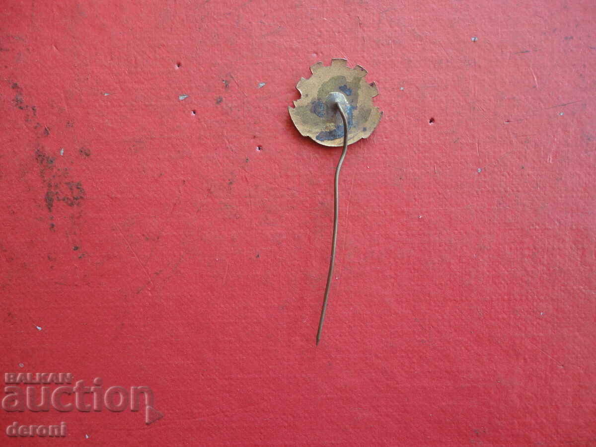 Delivery of TPK Bronze Enamel CS Badge Badge Delivery of TPK Bronze Enamel CS Badge Badge