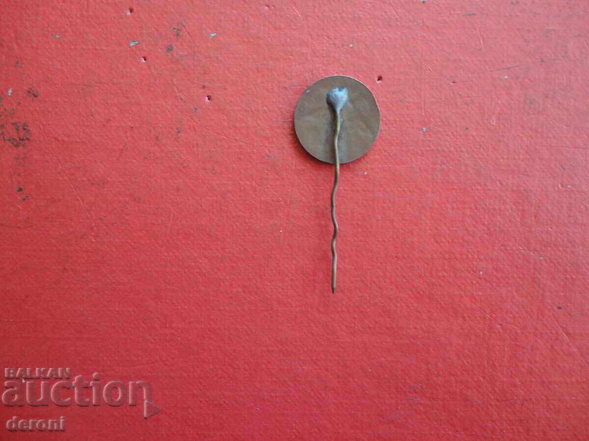 Delivery of Antique Badge Badge Bronze Enamel 1 Delivery of Antique Badge Badge Bronze Enamel 1