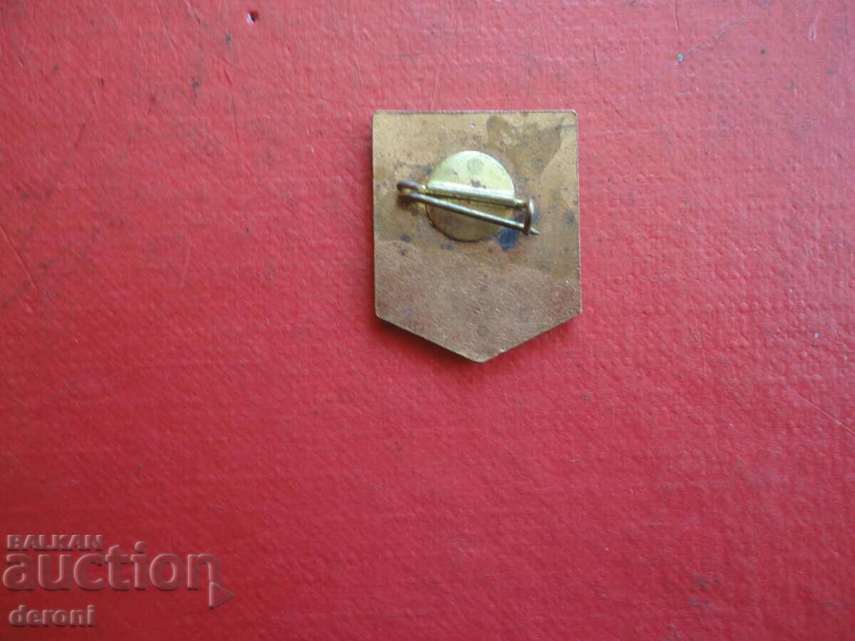 Antique Badge Badge Bronze Enamel 3 - 6 Antique Badge Badge Bronze Enamel 3 - 6