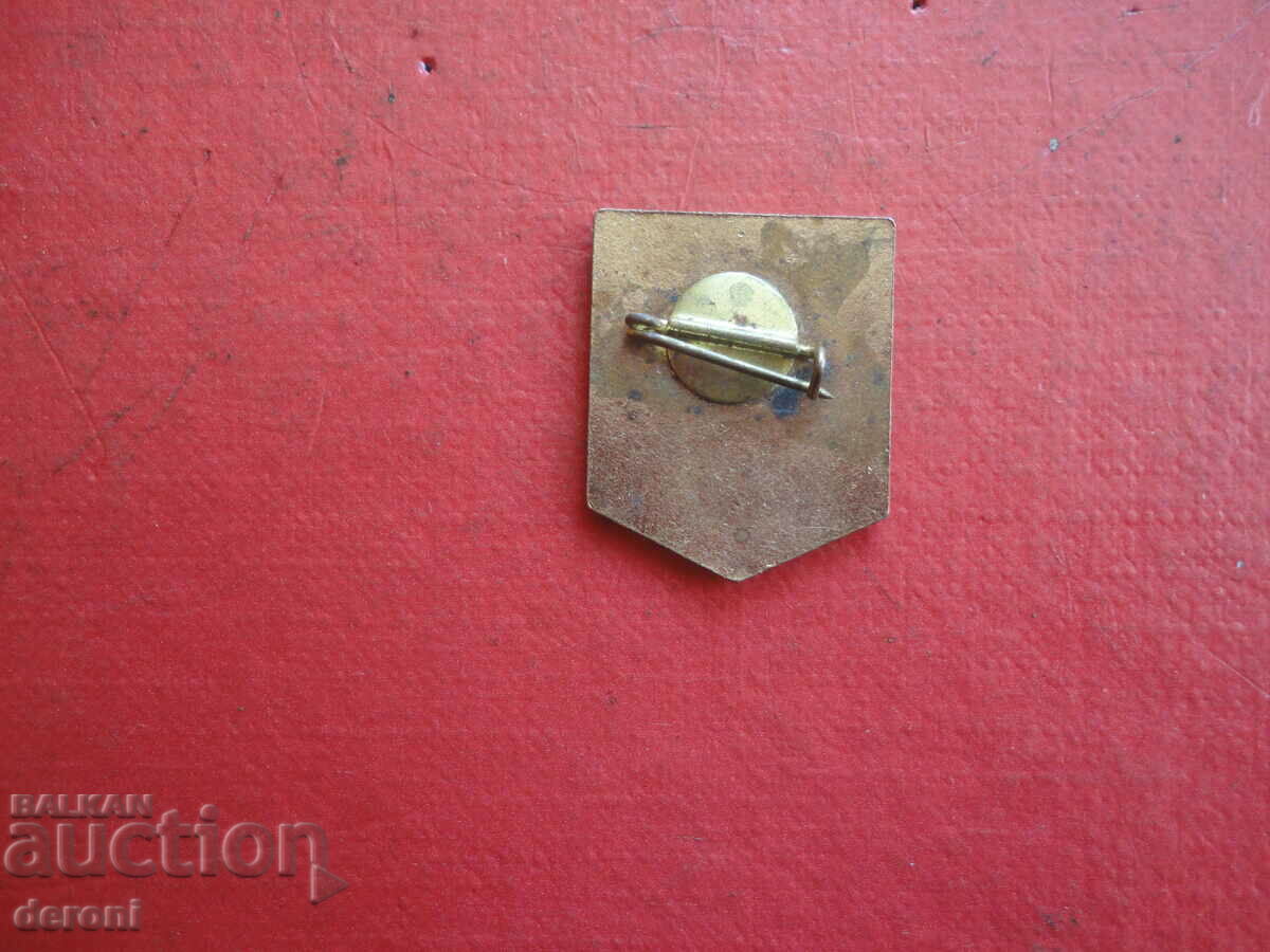 Antique Badge Badge Bronze Enamel 3 - 7 Antique Badge Badge Bronze Enamel 3 - 7