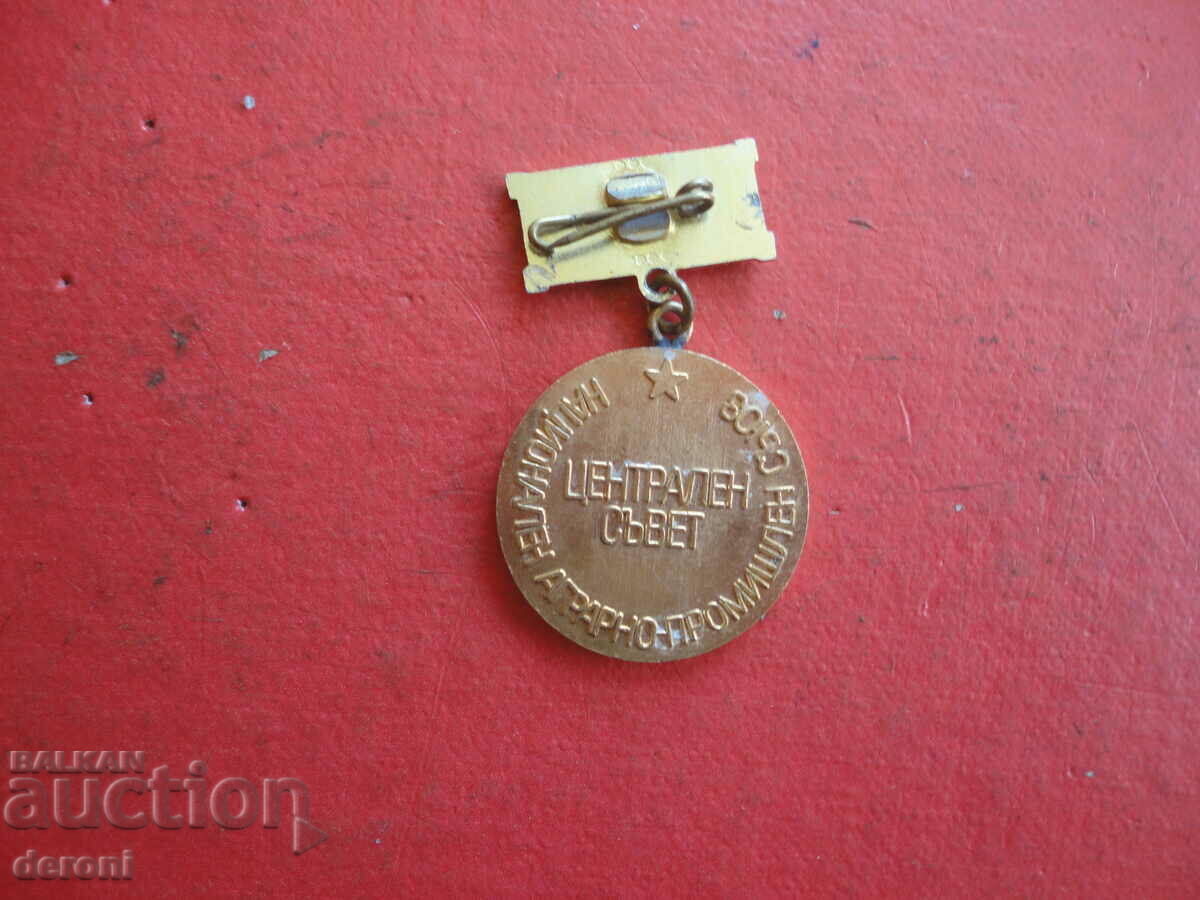 Delivery of Central Council Excellence Badge Badge Delivery of Central Council Excellence Badge Badge