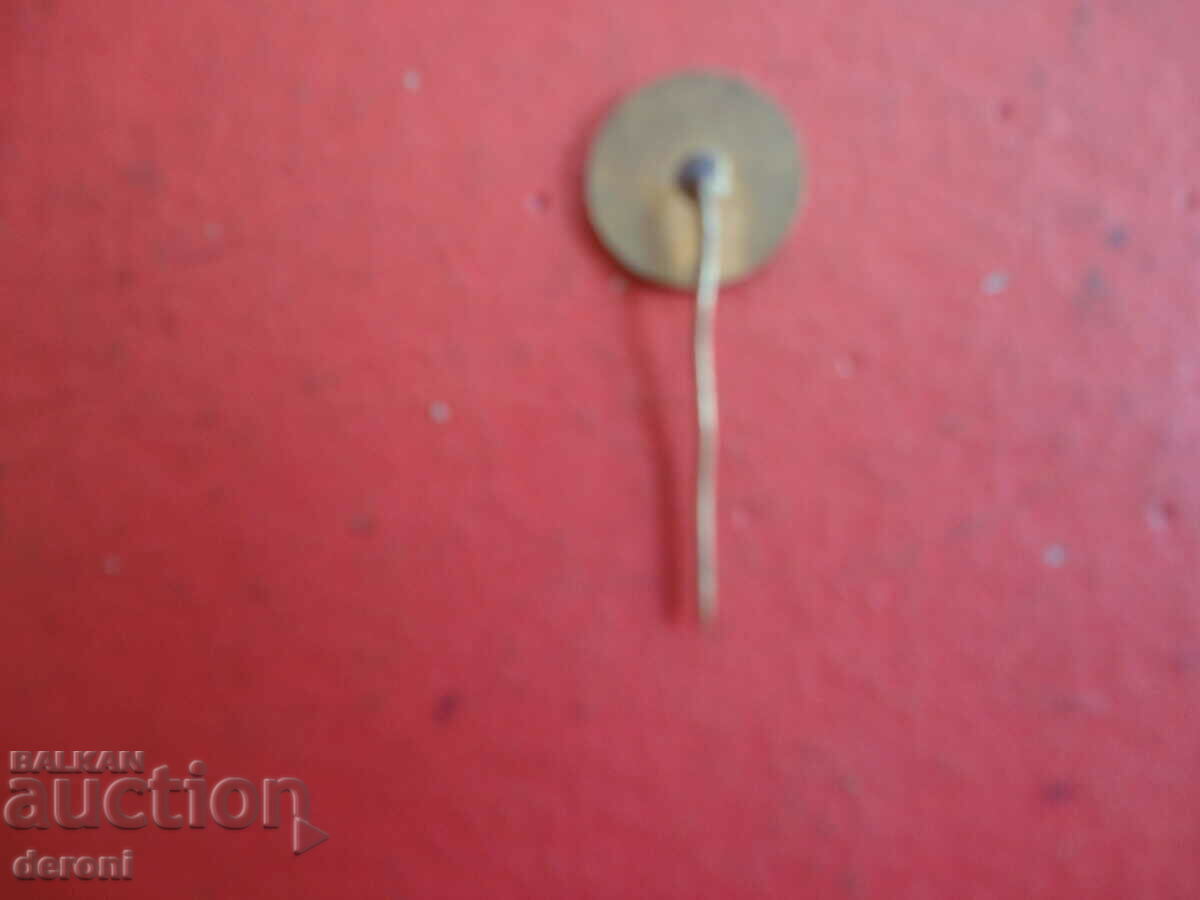 Auction  Badge badge DFS Pernik