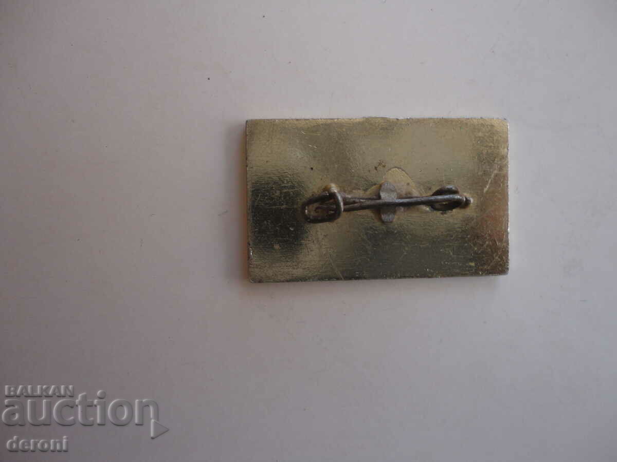 Auction  Large German Sign Badge 2