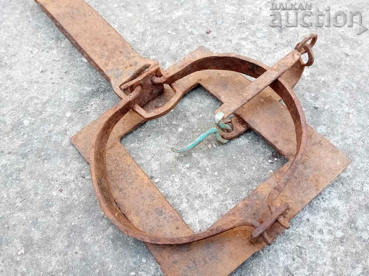 old forged trap for beaded golden ferrets WORKING - 6