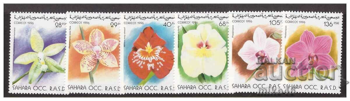 WESTERN SAHARA 1996 Flowers pure series