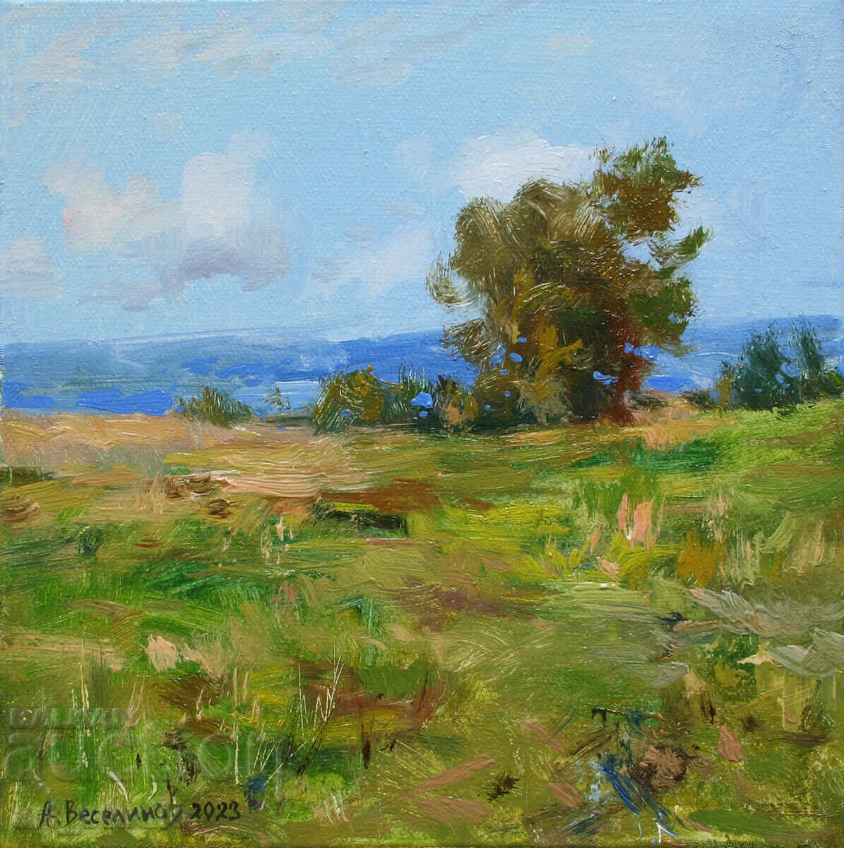 Field -oil paints