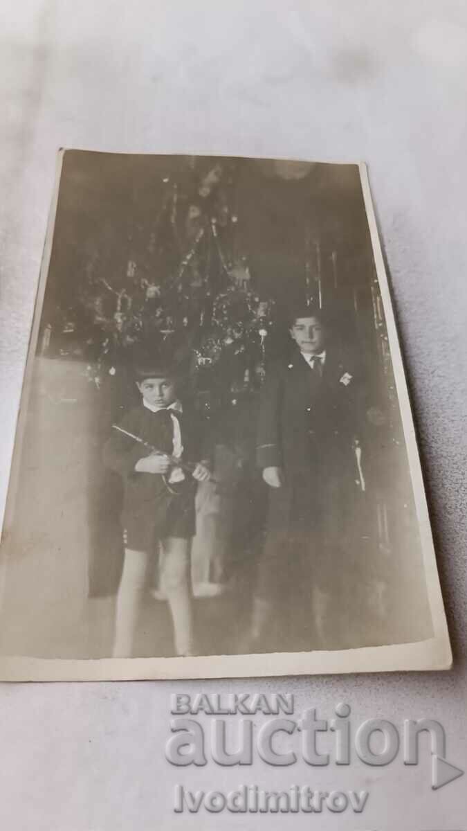 Снимка Две момчета пред украсена коледна елха 1935