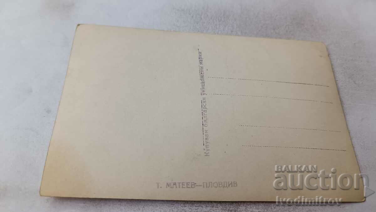 Photo Young girls in the park with price 1.45 BGN | € 0.74