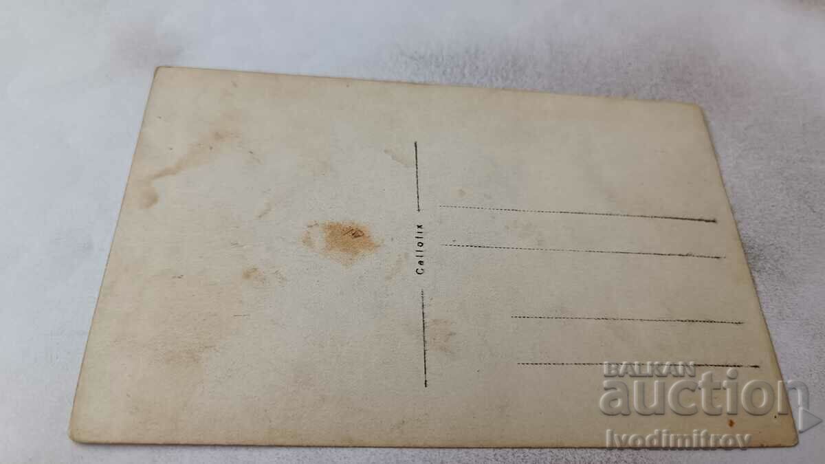 Photo Pupils with their teacher in the park with price 1.35 BGN | € 0.69 Photo Pupils with their teacher in the park with price 1.35 BGN | € 0.69