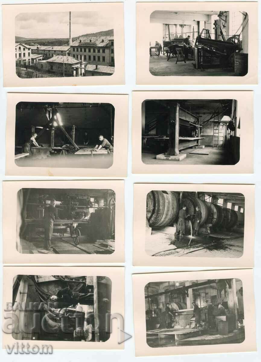Gabrovo 8 photos leather factory Kalpazanovi Brothers 1930s