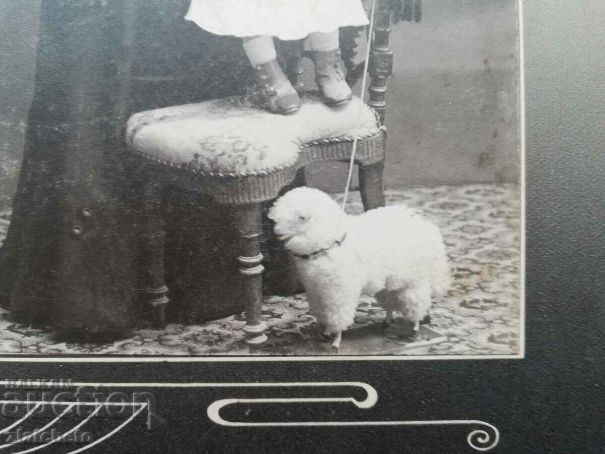 Delivery of Old photo cardboard - atelier Br. Hadjolyan Varna. With lamb Delivery of Old photo cardboard - atelier Br. Hadjolyan Varna. With lamb