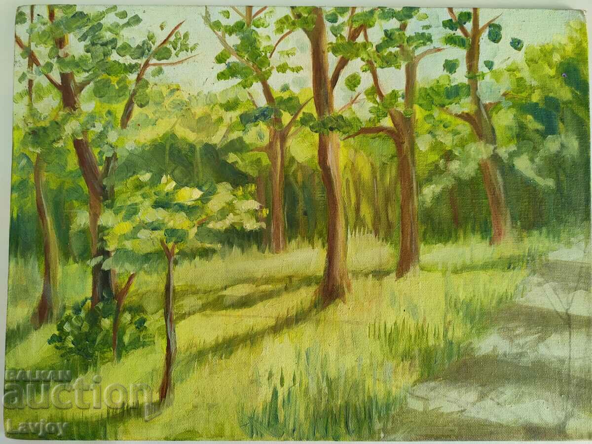 Oil painting *Forest corner* with price 20.00 BGN | € 10.23 Oil painting *Forest corner* with price 20.00 BGN | € 10.23