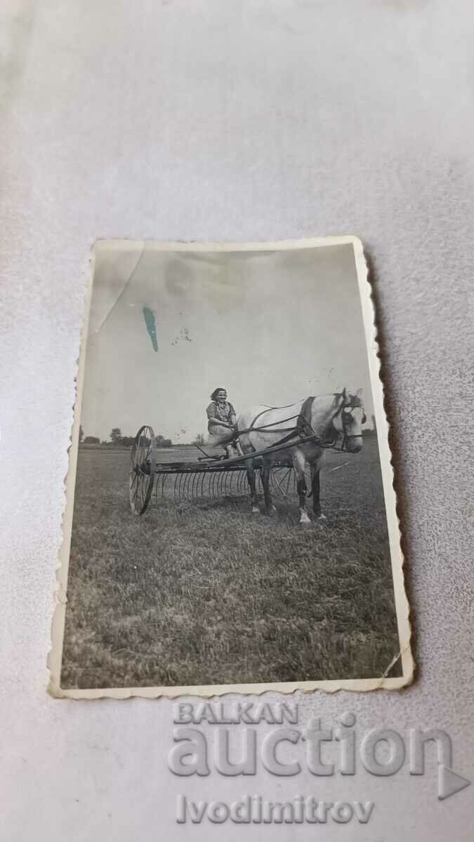 Photo Woman with a seed drill in the fields 1936