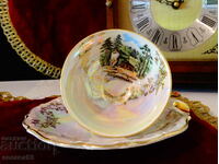 Cup and plate Bavarian porcelain, opaline, gold, picture.