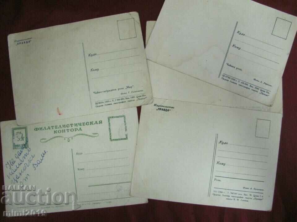 Delivery of Postcards with Flowers