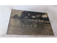 Κα Φιλιππούπολη Πέντε νέοι που κάνουν μπάνιο στον ποταμό Μαρίτσα 1928