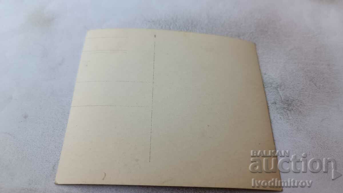 Φωτογραφία Νεαρά κορίτσια που κάθονται σε ένα τρένο στην παραλία με τιμή 2.85 BGN | € 1.46 Φωτογραφία Νεαρά κορίτσια που κάθονται σε ένα τρένο στην παραλία με τιμή 2.85 BGN | € 1.46