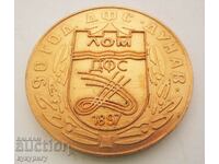 Star Sots medal plaque 90 DFS DANUV LOM 1897