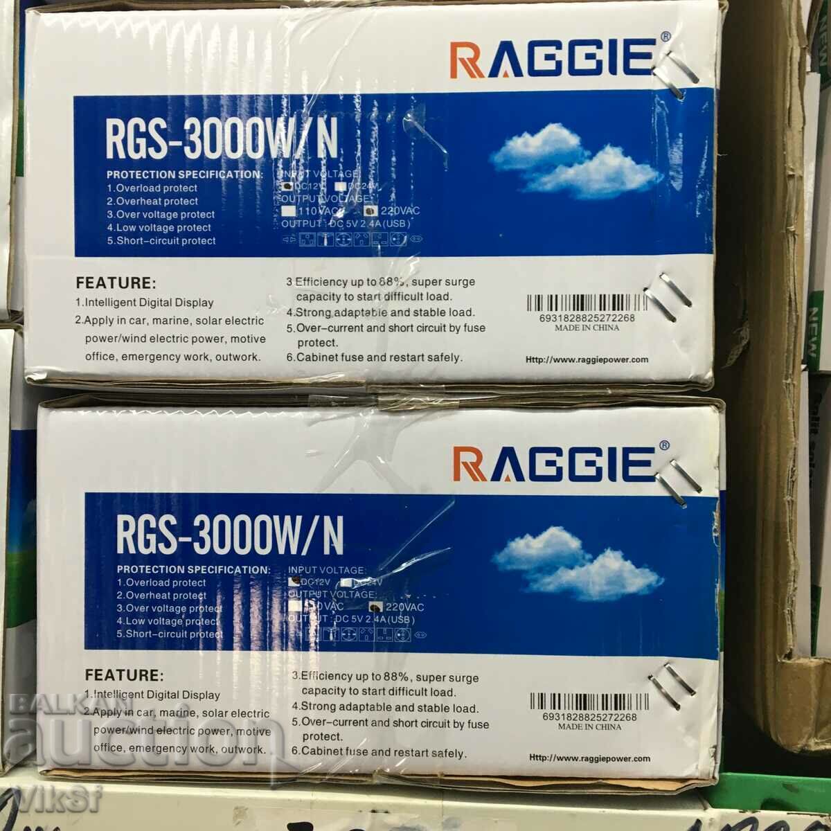 12V /1000 Watts Pure Sine Raggie Inverter - 6