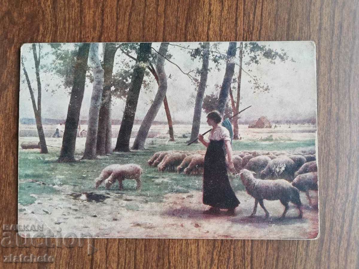 Postcard Kingdom of Bulgaria - PSV with price 12.00 BGN | € 6.14 Postcard Kingdom of Bulgaria - PSV with price 12.00 BGN | € 6.14