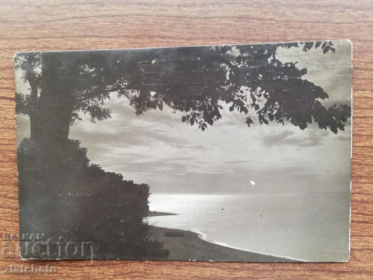 Postal card Kingdom of Bulgaria - Varna photo 63 with price 20.00 BGN | € 10.23 Postal card Kingdom of Bulgaria - Varna photo 63 with price 20.00 BGN | € 10.23