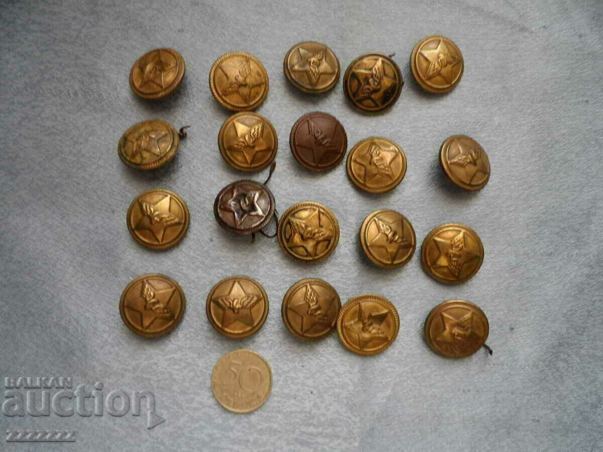 Auction BUTTONS Auction BUTTONS