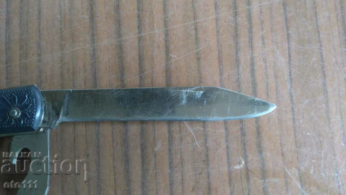 ΠΑΛΙΟ ΠΟΔΙ ΜΕ ΘΗΚΗ - ΕΣΣΔ - 6