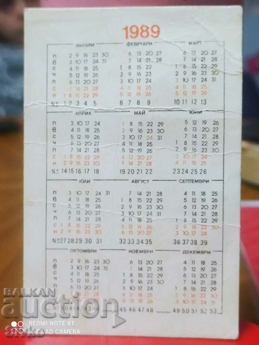 Calendar 6 of 49 - 1989 with price 0.99 BGN | € 0.51 Calendar 6 of 49 - 1989 with price 0.99 BGN | € 0.51